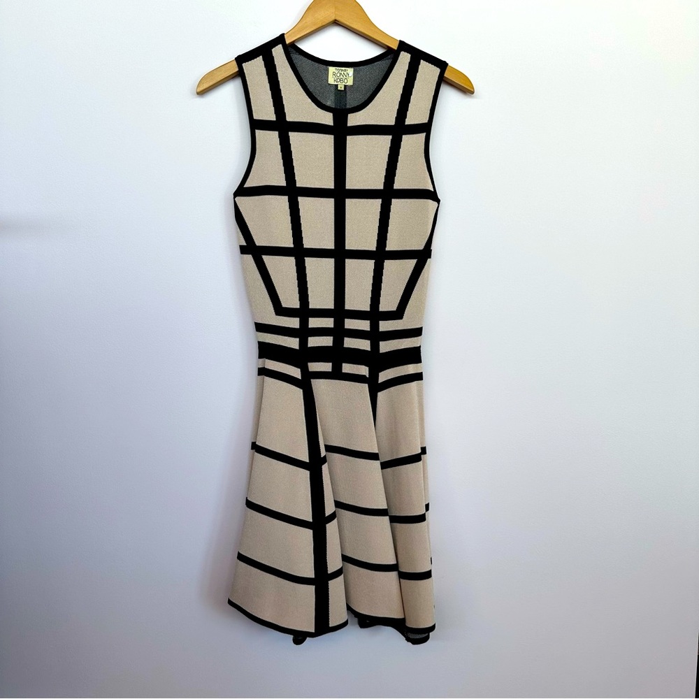 Torn by Ronny Kobo Fit & Flare Dress, Size: Small